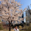 미라클태권도장 이미지