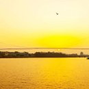 "딱 8일만 열리는 515m출렁다리"입이 딱 벌어질 새 랜드마크 탄생 이미지