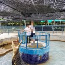 아란농장 이미지