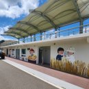 솔가람 | 대구아이랑가볼만한곳 성주아이랑 당일치기로 오기좋은 피크닉장 솔가람피크닉 후기