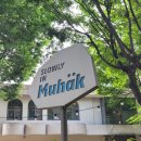 슬로울리인무학 이미지