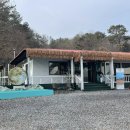 캠핑도시