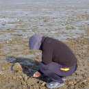 서연새우젓상회 이미지