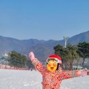 방배로31길 36 이미지