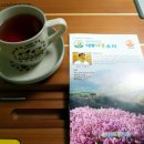 대동 바른 한의원 이미지