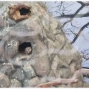 아이플라워 메이트 | 아이와가볼만한곳 설날가족여행지로 추천하는 가평베고니아새정원