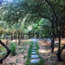 라온혜윰힐링센터 | 심리상담 라온혜윰힐링센터 경산 용성면 가격 주소 주차 위치 후기 추천