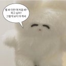 비에이치씨은평 이미지