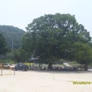 석동초등학교 이미지