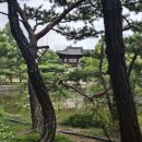 서울 중구 가볼만한곳 남산골한옥마을 국악당 산책 월요일