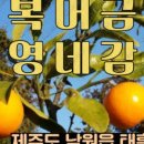 오영농장 이미지