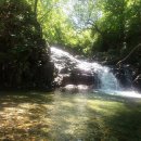 자작나무 펜션2 이미지