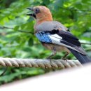 원터근린공원 이미지