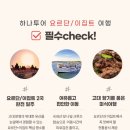 페트라호텔 이미지