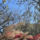 고덕IC주유소 이미지