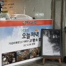고향시락국 | 김해 어방동 맛집 고향소갈비찜 어방직영점 가성비 찐후기