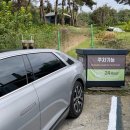 데이지 독 | 남양주 덕소 <필드포독> 강아지 실내 운동장, 프라이빗한 무인 대관 가능한 곳