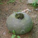 자연예술랜드 이미지