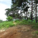 황우목장 이미지