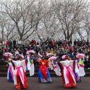 낙동강제방(강서30리벚꽃길) 이미지