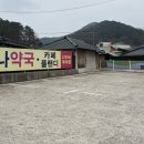 대왕약국 | 내돈내산후기💛광주 남구 카페 플랜디 ✨트리 맛집 &amp; 아이랑 가기 좋은 감성 카페🎄