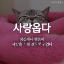 깜냥깜냥 - 창원시 진해구 | 깜냥깜냥
