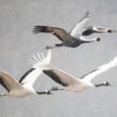 학코너