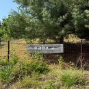 아이미래유치원 | 용인애견운동장 추천 | 테일45 프라이빗존 후기