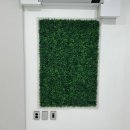 애풍 | 충주 애이리풀빌라 B1숙소, 수영장 이용 후기