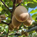 다울농장 이미지