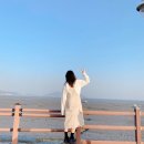분오호 이미지