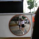 세화당약국 네이버블로그