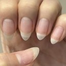 더 샵 동물메디컬센터 | 잠실역 네일샵 추천 네일왕김소수 아트 잘하는 잠실나루역 네일