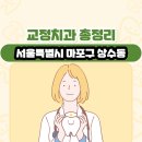 서울특별시 마포구 상수동 교정치과 총정리