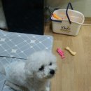 멍멍회관 이미지