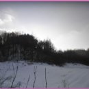 홍천목장 이미지