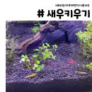 아쿠아1번지