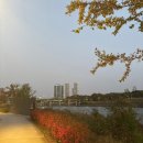 삼각산중학교 | 11월 결산. 떵개 life