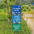 진도개 53카페 | 진도 아이와 가볼만한 곳 진도개테마파크