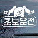 705 이미지