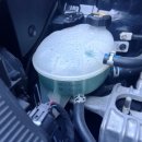 진엔진바이오 이미지