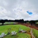 평화목장2 이미지