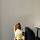 3월카페 이미지