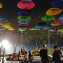 화순고인돌전통시장 이미지