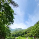 부에노사이트 이미지