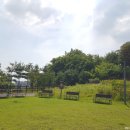 검암체육공원 이미지