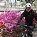 강남송파 자전거 연합 2023년 4월 12일(수) 수요 정기 프리 라이딩(남산&용산)-2 이미지