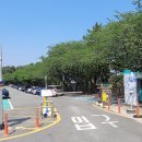 달맞이길 이미지