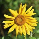 청구행정사사무소 이미지