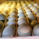 청계마루 이미지